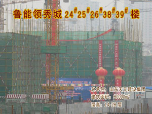鲁能领秀城24、25、26、38、39#楼